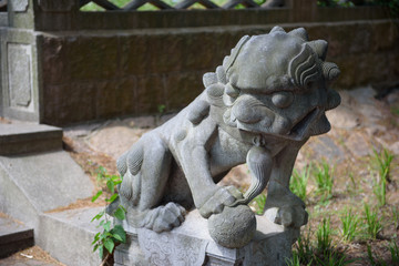 Chinese stone lion. The Chinese sculpture of a lion from a stone