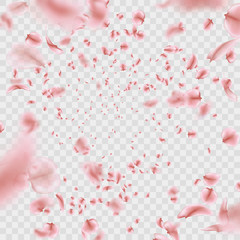 Fly pink Sakura petals effect isolated on transparent background. EPS 10 vector