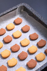 Food concept Spot focus fresh homemade bake Butter sugar cookies two tone cat shape in baking tray
