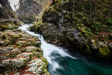 Obraz premium Soteska Vintgar, The Vintgar Gorge or Bled Gorge in Slovenia.