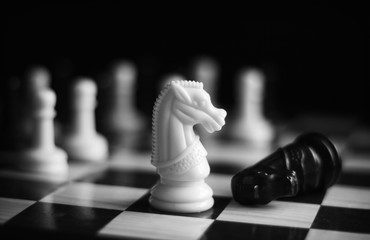 Black and white chess set