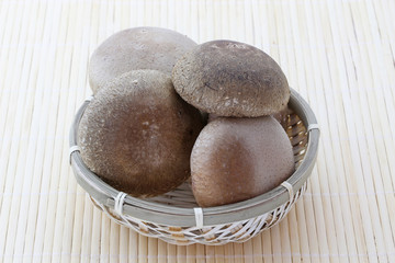 しいたけ