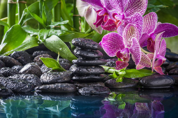 stack stones , pink orchid and bamboo in the waters drops