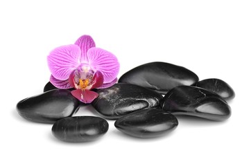 Fototapeta na wymiar spa symbol with orchid and black stones isolated on white background