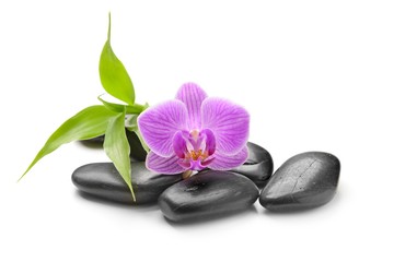 Obraz na płótnie Canvas spa symbol with orchid and black stones isolated on white background