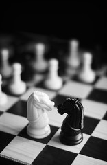 Black and white chess set - 184272032
