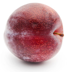 Fototapeta premium Blommer the finest Dansih plum