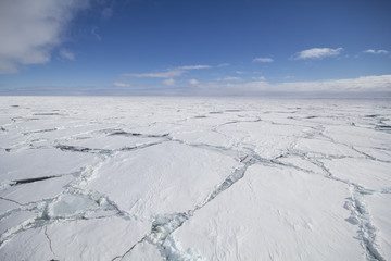 Cracked ice floe