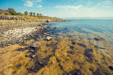 Rocky seashore. Sea of Galilee in Tabgha, Israel