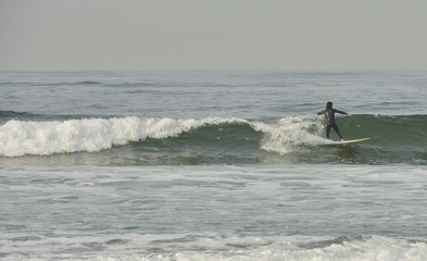 Surfing at Venice beach in California
