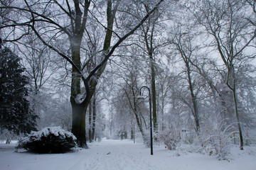 Pathway through a park in the middle of a snowy december