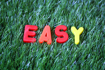 Easy - Colored Plastic Word