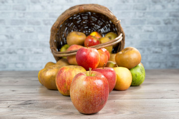basket of apples spilled on the table