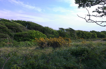 Eastbourne - Beachy Head - XVII - 