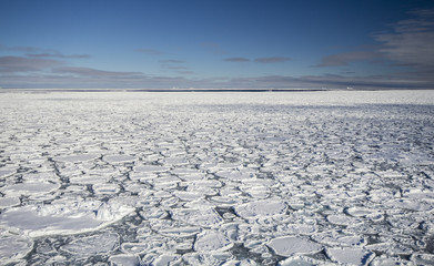 Fototapeta na wymiar Pancake ice at southern ocean