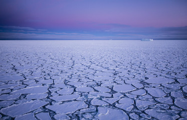 Pancake ice at southern ocean