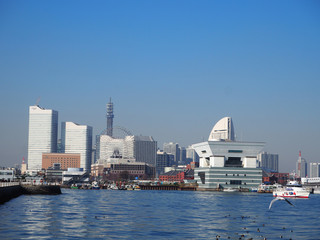 横浜　山下公園からのみなとみらいの風景