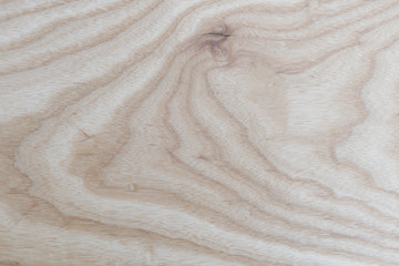 Abstract Ash Wood texture natural design , used for background website or add text in advertise