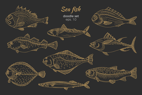 Set of golden sea fish. Doodle vector