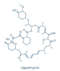 Rapamycin (sirolimus) immunosuppressive drug molecule. Used to prevent transplant rejection and in coronary stent coating. Skeletal formula.