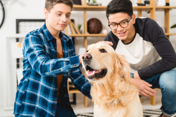 smiling teen boys palming dog at home