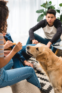 cropped image of african american teen giving piece of pizza to pet