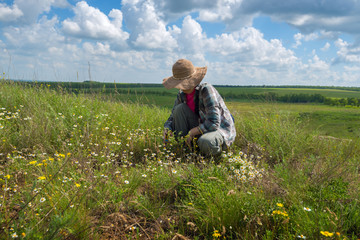 Enthusiastic woman, in hat, sits amidst lush green grass