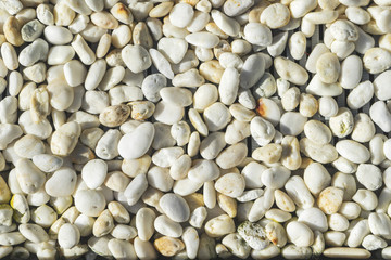 white stone floor in the garden