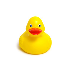 Yellow rubber duck on white