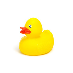 Yellow rubber duck on white