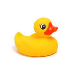 Yellow rubber duck on white