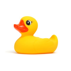 Yellow rubber duck on white