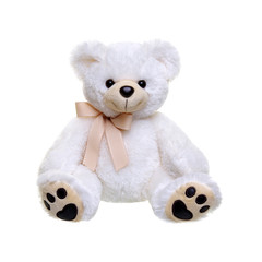Teddy bear on a white