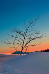 Paesaggio innevato al tramonto