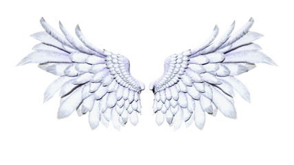 3d Illustration Angel Wings, White Wing Plumage Isolated on White Background