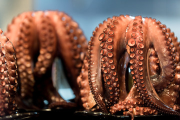 Pulpo a la Gallagega listo para ser cortado y servido 