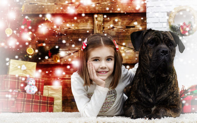 girl and dog in the new year