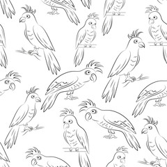 Seamless Pattern, Cartoon Birds Parrots, Outline Pictograms, Black Contours Isolated on Tile White Background. Vector