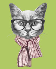 Portrait of Cat with scarf and glasses, hand-drawn illustration