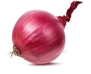 Fresh onion isolated on white background  with clipping path