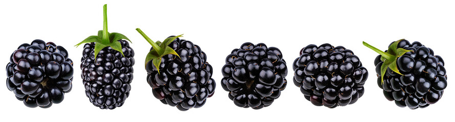 Fresh blackberry isolated on white background with clipping path