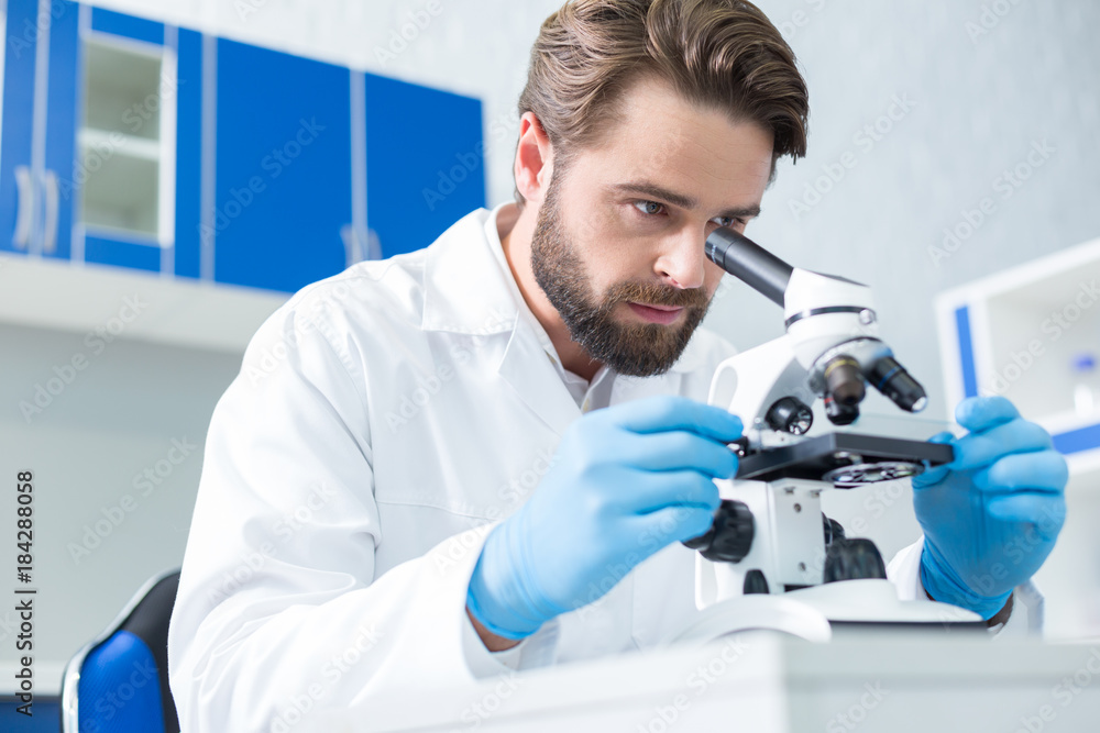 Wall mural serious smart scientist focusing in his work