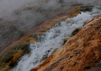 A hot spring water of Yellowstone