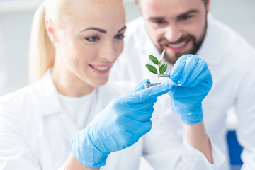 Delighted nice bio scientists looking at the sprout
