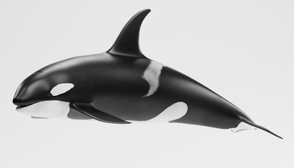 Realistic 3D Render of Killer Whale