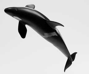 Realistic 3D Render of Killer Whale