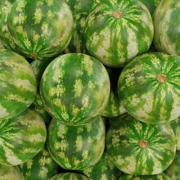 Realistic 3D Render of Melons