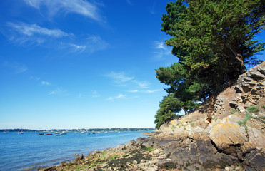 Fototapeta premium Côte de Baden dans le golfe du Morbihan en Bretagne