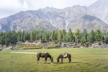 Papier Peint photo autocollant Nanga Parbat Photo de paysage de Fairy Meadows, Gilgit, Pakistan