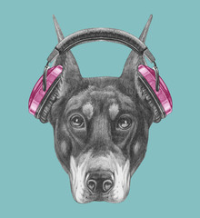 Portrait of Doberman Pinscher with headphones, hand-drawn illustration